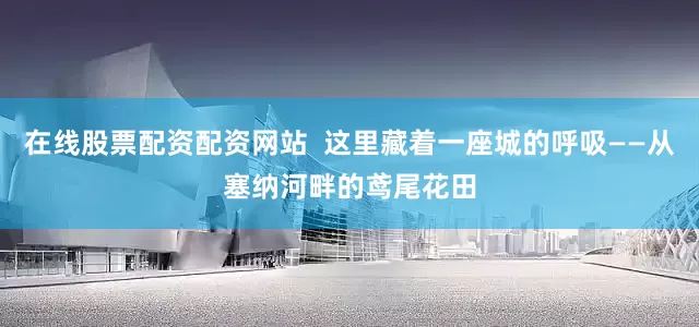 在线股票配资配资网站  这里藏着一座城的呼吸——从塞纳河畔的鸢尾花田