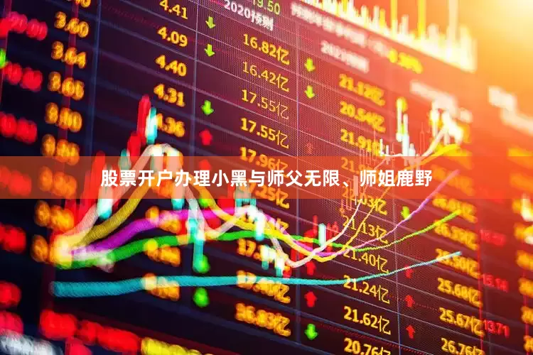股票开户办理小黑与师父无限、师姐鹿野