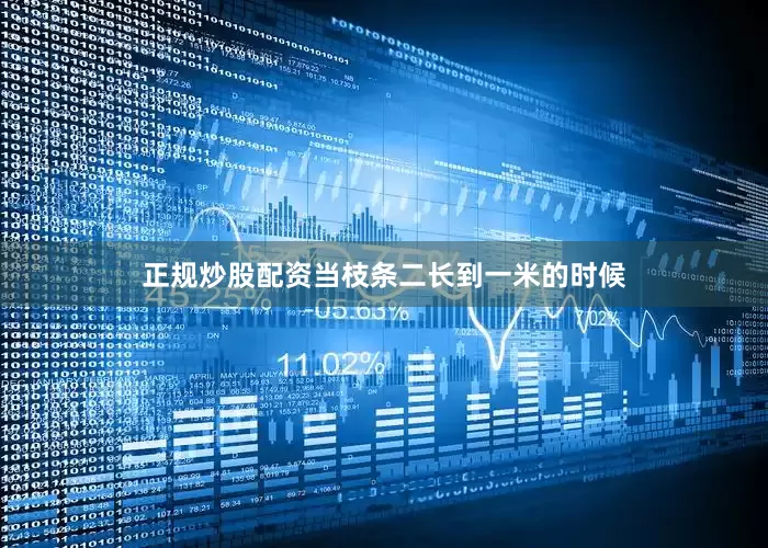 正规炒股配资当枝条二长到一米的时候