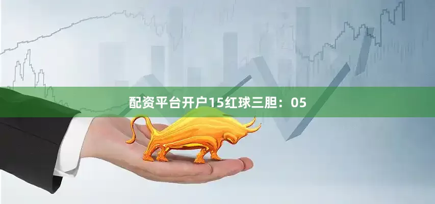配资平台开户15　　红球三胆：05